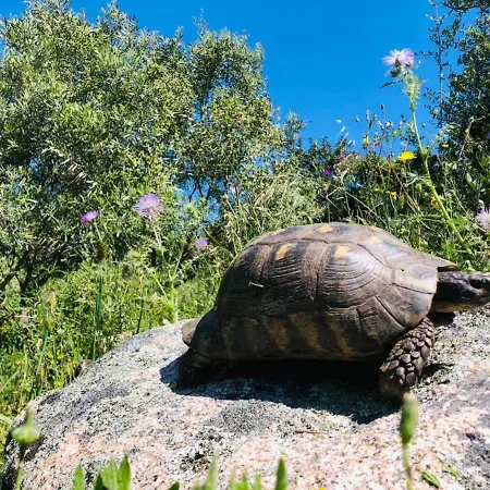 Country House Holiday - Сasa de vacaciones *