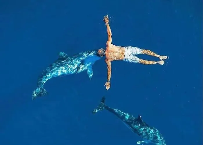 Country House Holiday - Сasa de vacaciones